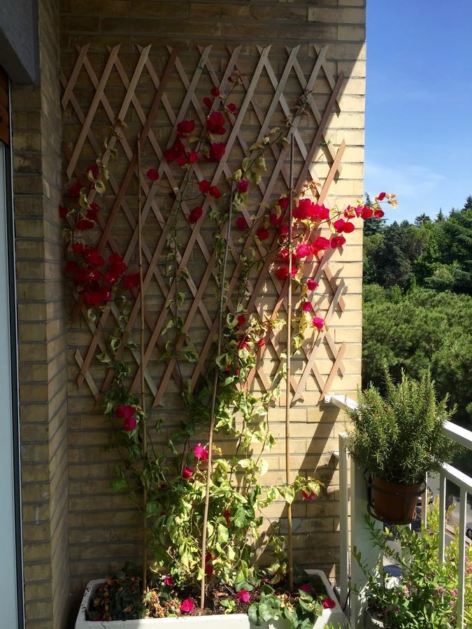 Happy Holiday In Rome B&B Exterior foto